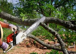 Best Firewood Processing and Delivery  in Grambling, LA